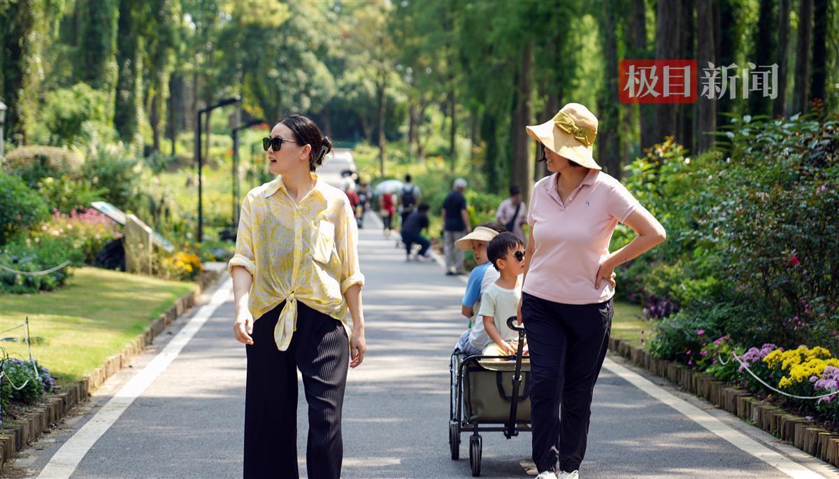 正点娱乐真空泵